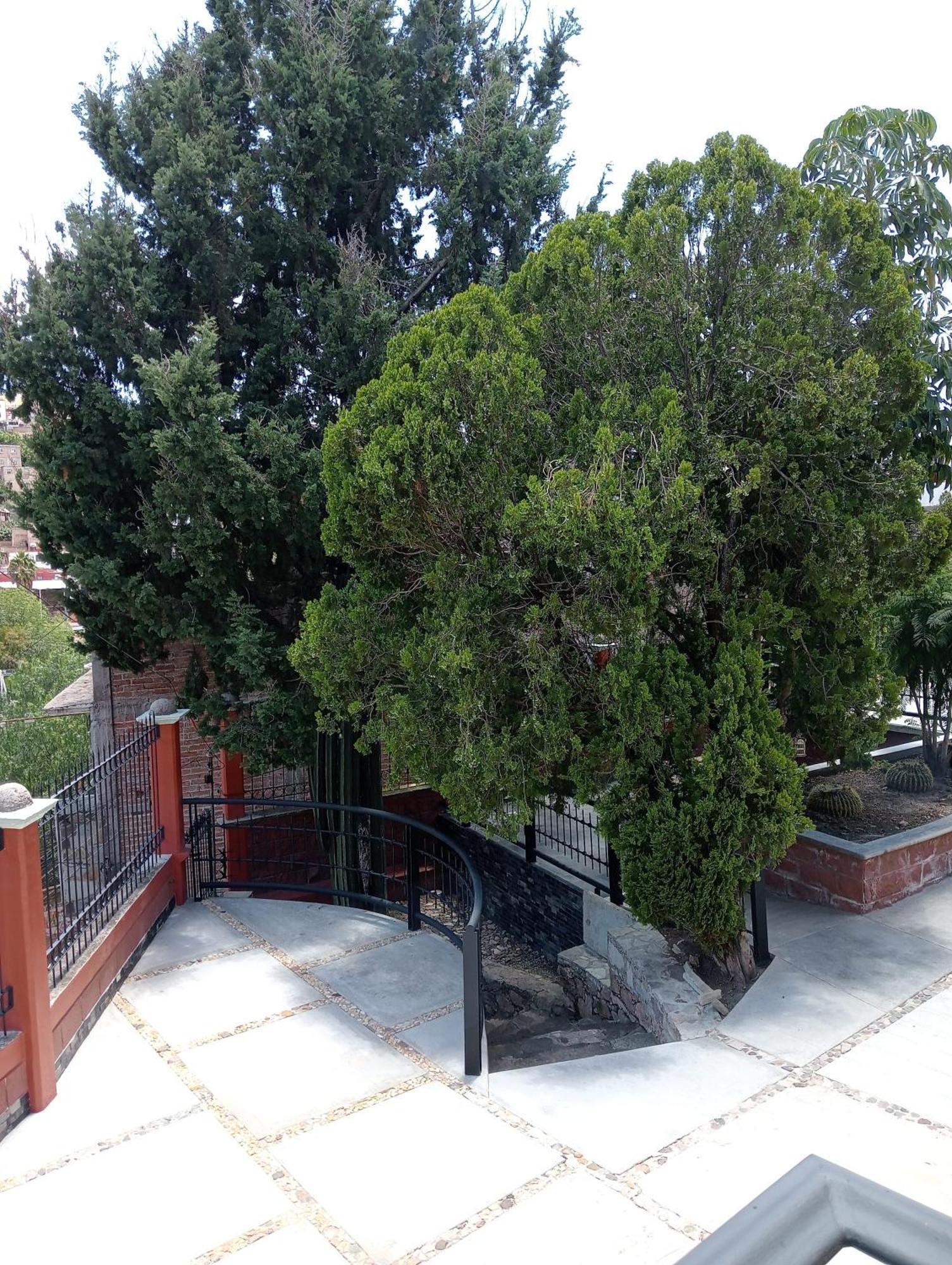 Quinta Mercedes Γκουαναχουάτο Εξωτερικό φωτογραφία