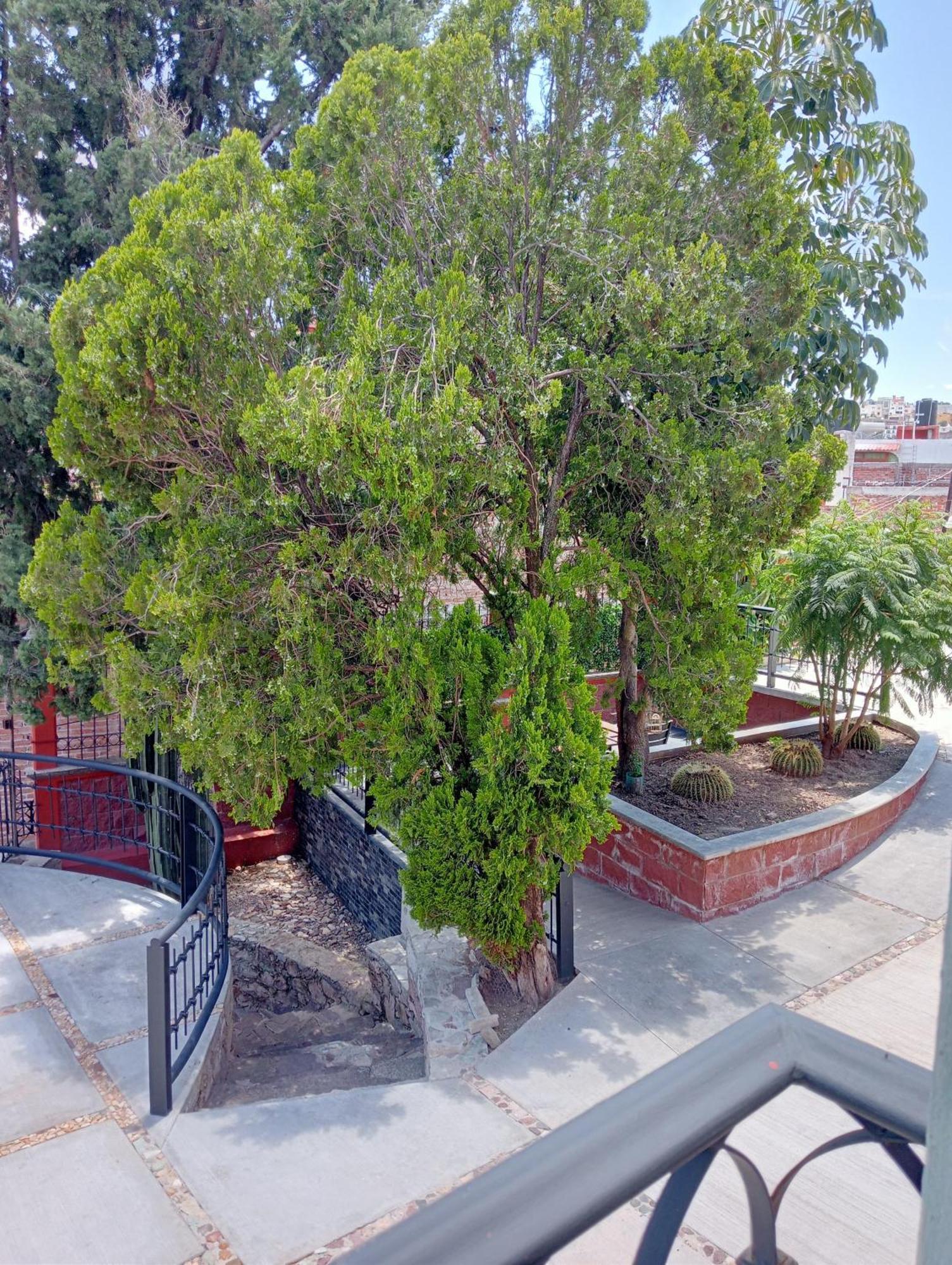 Quinta Mercedes Γκουαναχουάτο Εξωτερικό φωτογραφία